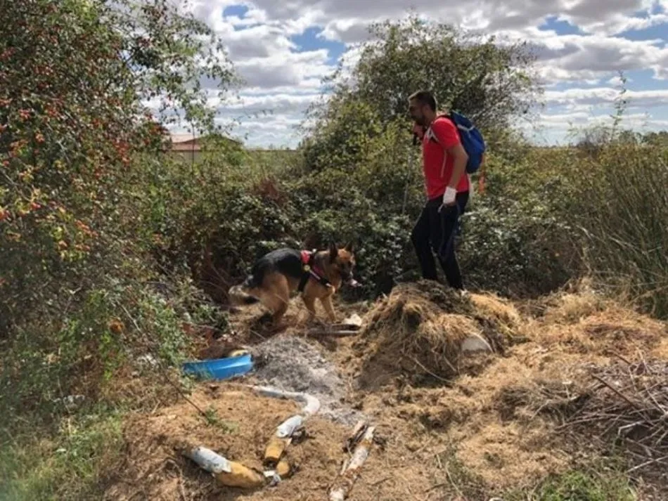 Foto 4 - Militares salmantinos y perros especializados refuerzan la b&uacute;squeda de la desaparecida...