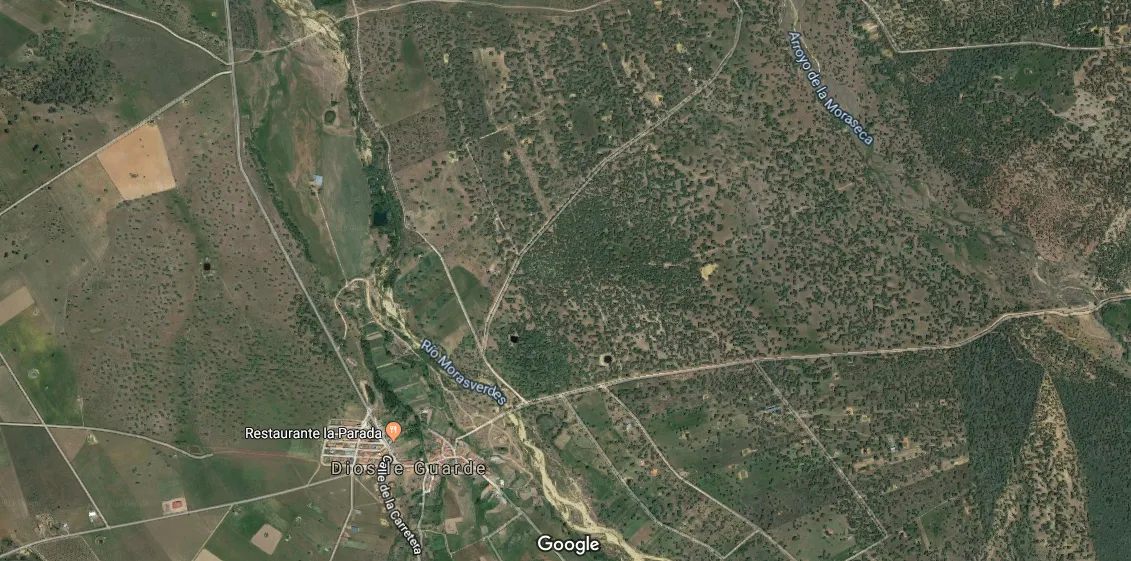 A licitación el aprovechamiento de pastos y bellota de la finca Majadal  