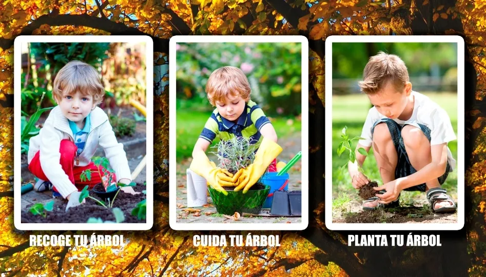 La campaña pretende fomentar el cuidado del medio ambiente entre los más pequeños