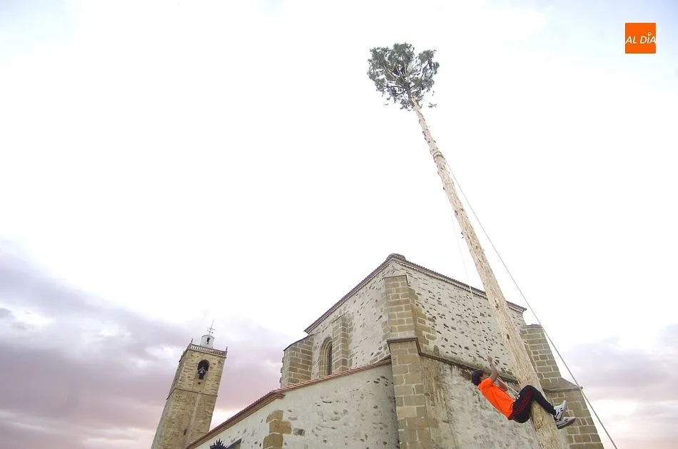 Foto 8 - Los martiagueses izan su pino en honor al Cristo de los Remedios  