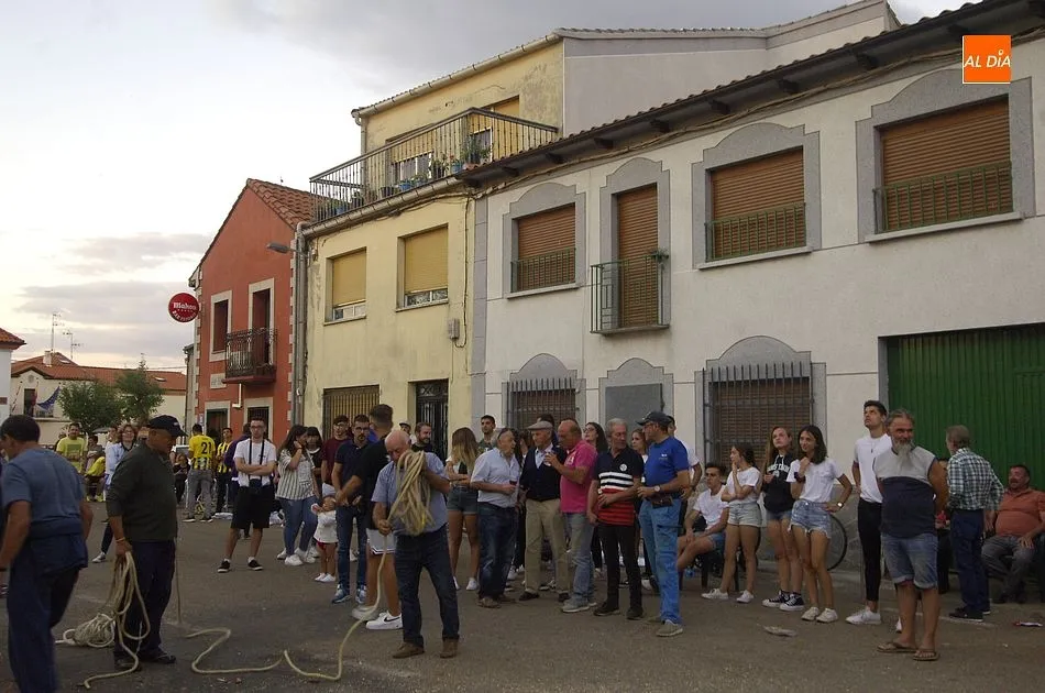 Foto 6 - Los martiagueses izan su pino en honor al Cristo de los Remedios  