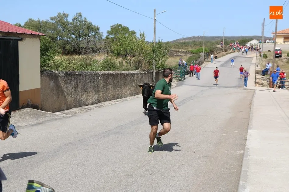Foto 8 - Emocionante y limpio encierro de Valrubio en Barruecopardo  