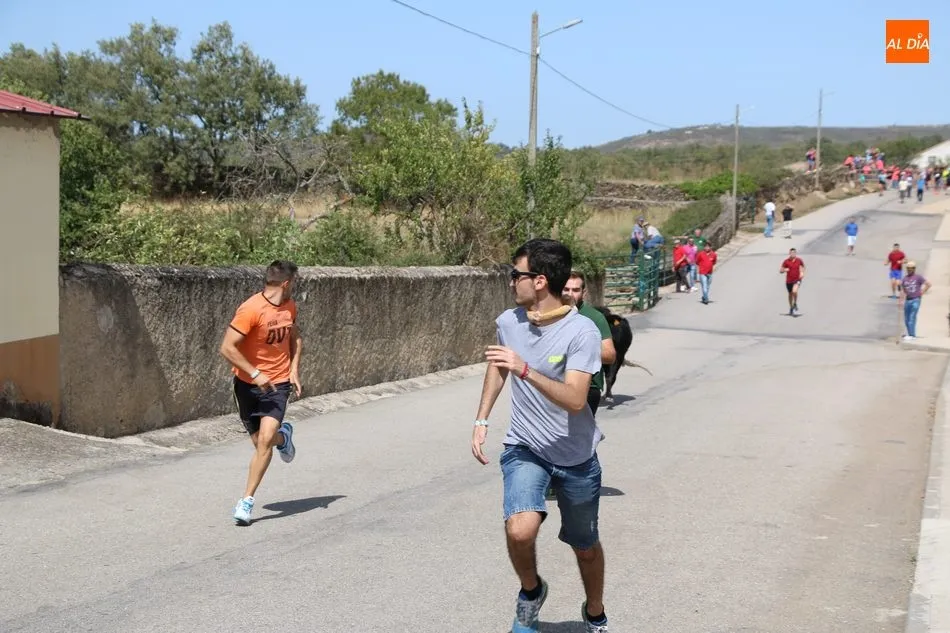 Foto 7 - Emocionante y limpio encierro de Valrubio en Barruecopardo  