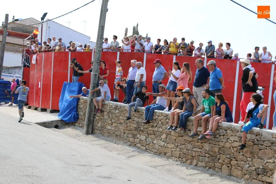 Foto 2 - Emocionante y limpio encierro de Valrubio en Barruecopardo  