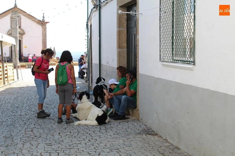 Foto 5 - Los cencerros y la trashumancia, protagonistas del &lsquo;Festival dos Chocalhos&rsquo; de Alpedrinha  
