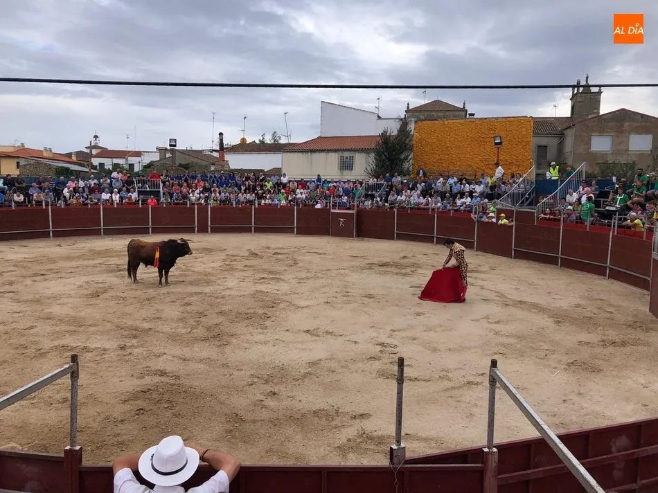 Foto 6 - Ismael Mart&iacute;n corta dos rabos en su debut de luces en Barruecopardo  