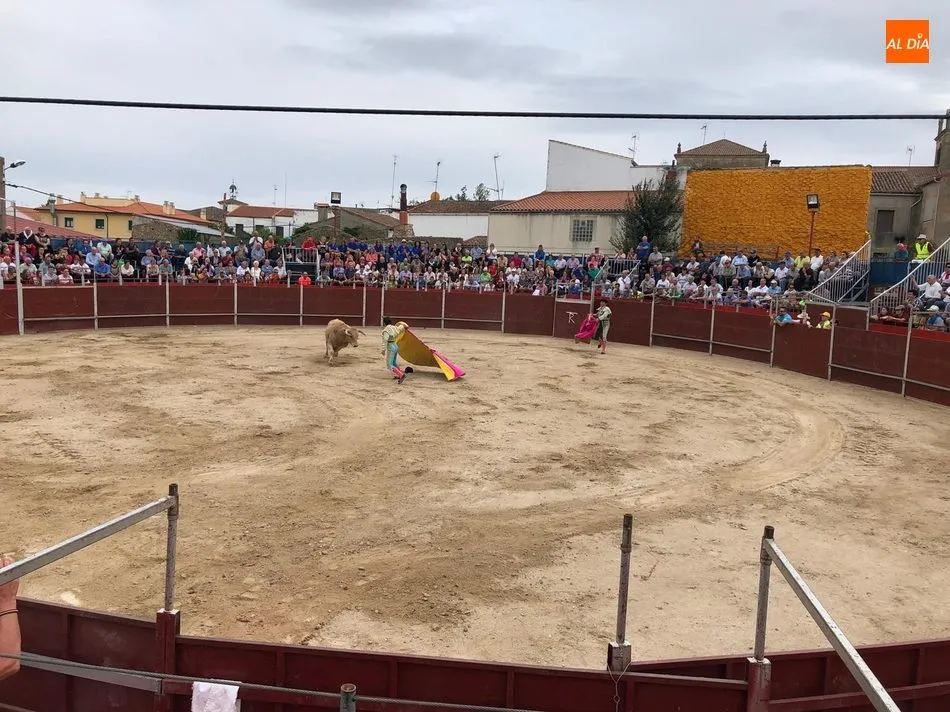 Foto 5 - Ismael Mart&iacute;n corta dos rabos en su debut de luces en Barruecopardo  