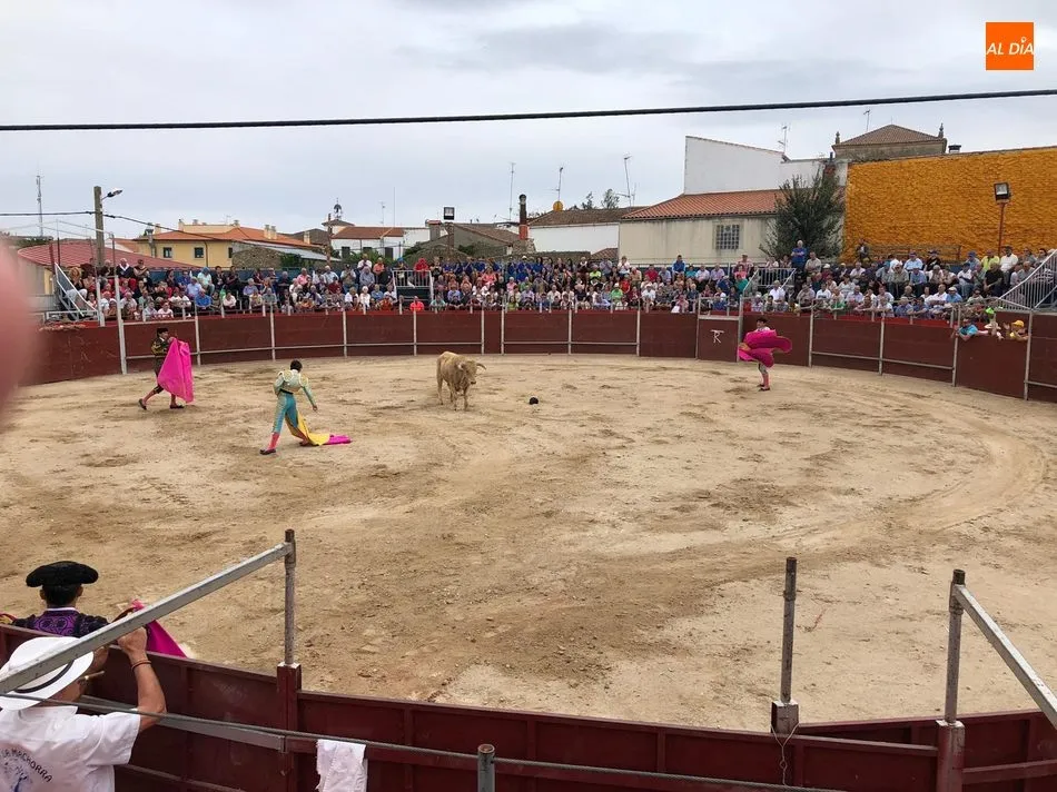 Foto 4 - Ismael Mart&iacute;n corta dos rabos en su debut de luces en Barruecopardo  