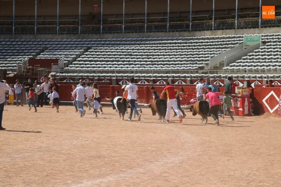 Foto 7 - Juventud Taurina anima La Glorieta con clases de toreo y juegos para los m&aacute;s peque&ntilde;os  