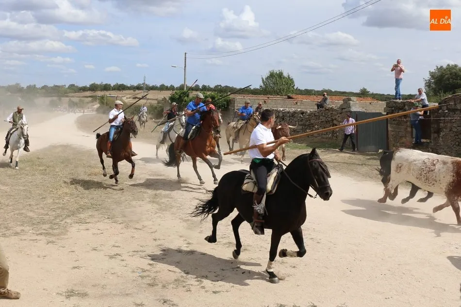 Foto 4 - Emocionante encierro a caballo en Ba&ntilde;ob&aacute;rez con novillos de Mart&iacute;n Cilleros  