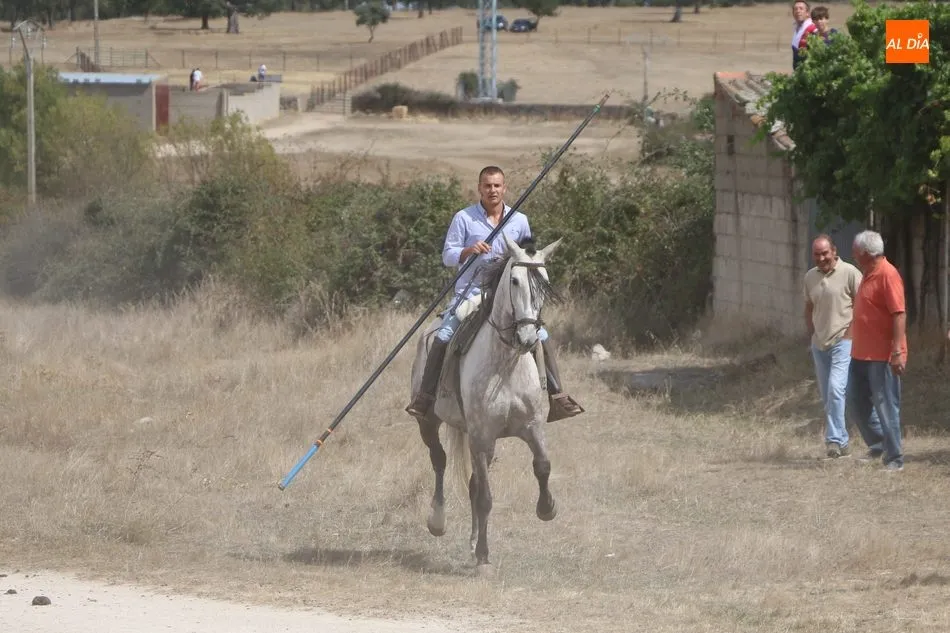 Foto 3 - Emocionante encierro a caballo en Ba&ntilde;ob&aacute;rez con novillos de Mart&iacute;n Cilleros  