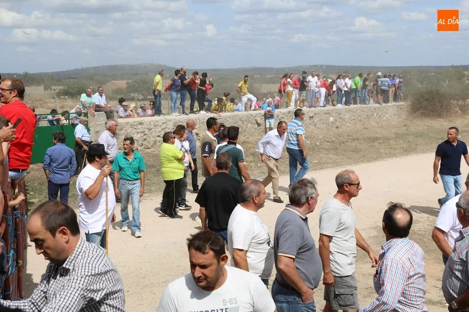 Emocionante encierro a caballo en Bañobárez con novillos de Martín Cilleros  