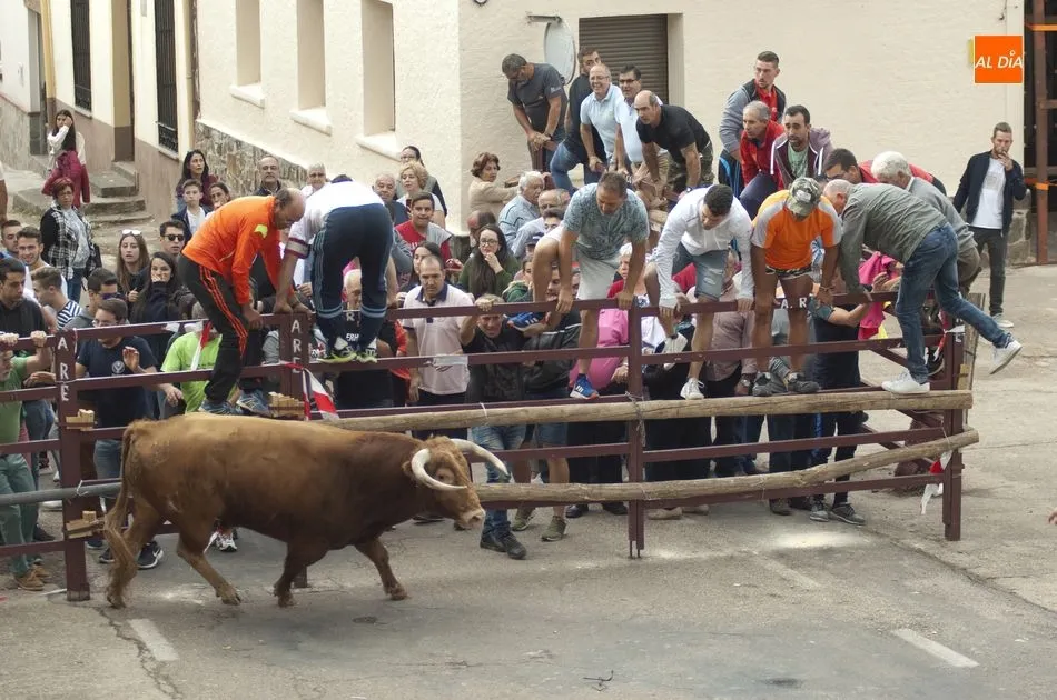 El Toro del Cajón en las calles de Martiago | Fotos Adrián Martín