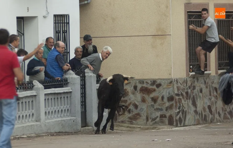 Foto 11 - El Toro del Caj&oacute;n de Martiago deja herido a un joven de 19 a&ntilde;os  