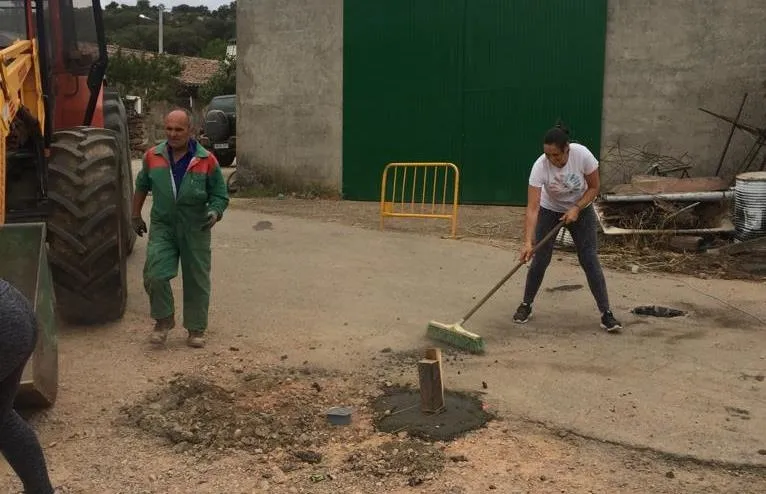 Foto 5 - La AVV de Pedrotoro prepara el recorrido para la suelta de vacas de sus fiestas  