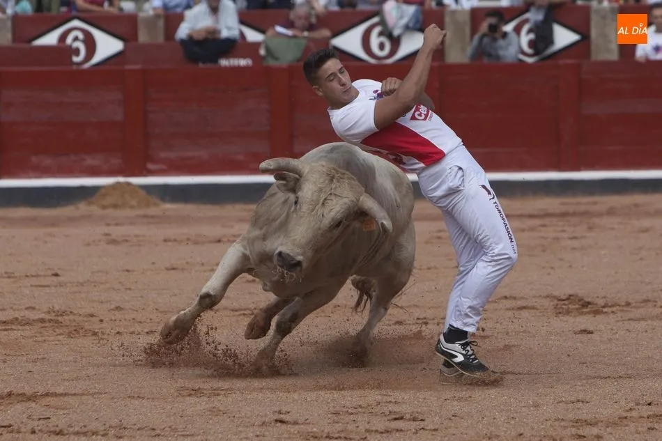 Foto 11 - Triunfo de Arturo Tapia y Luisan Mart&iacute;n en el concurso de recortes &lsquo;Ciudad de Salamanca&rsquo;