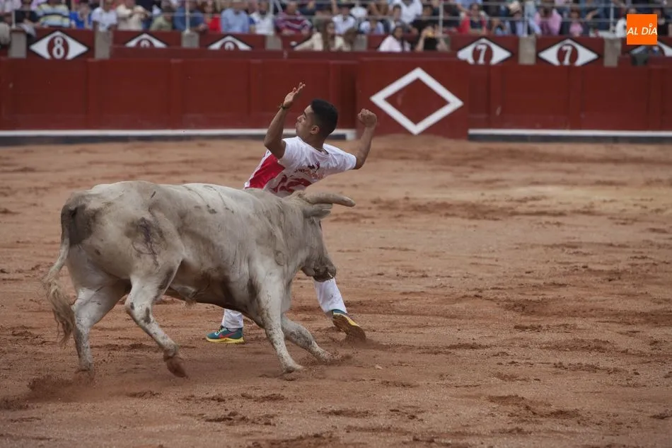 Foto 9 - Triunfo de Arturo Tapia y Luisan Mart&iacute;n en el concurso de recortes &lsquo;Ciudad de Salamanca&rsquo;