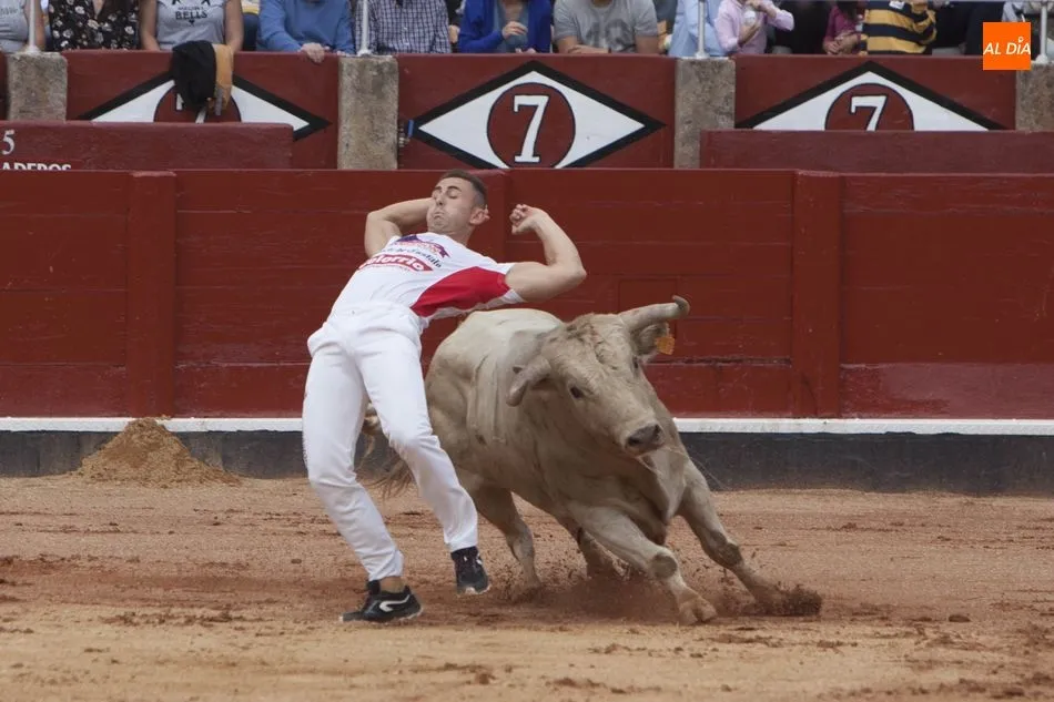 Foto 8 - Triunfo de Arturo Tapia y Luisan Mart&iacute;n en el concurso de recortes &lsquo;Ciudad de Salamanca&rsquo;