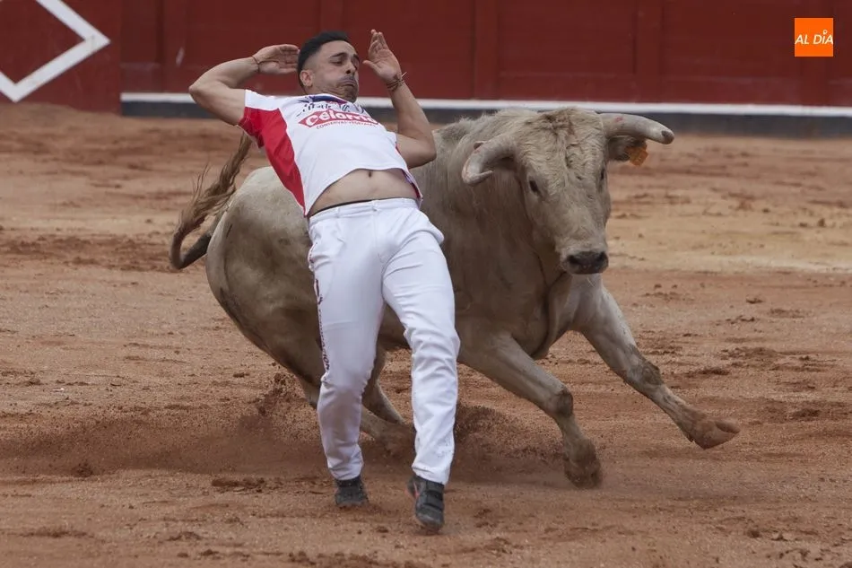 Foto 5 - Triunfo de Arturo Tapia y Luisan Mart&iacute;n en el concurso de recortes &lsquo;Ciudad de Salamanca&rsquo;