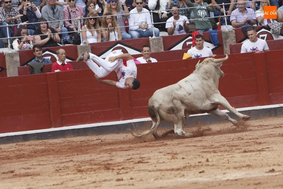 Foto 4 - Triunfo de Arturo Tapia y Luisan Mart&iacute;n en el concurso de recortes &lsquo;Ciudad de Salamanca&rsquo;