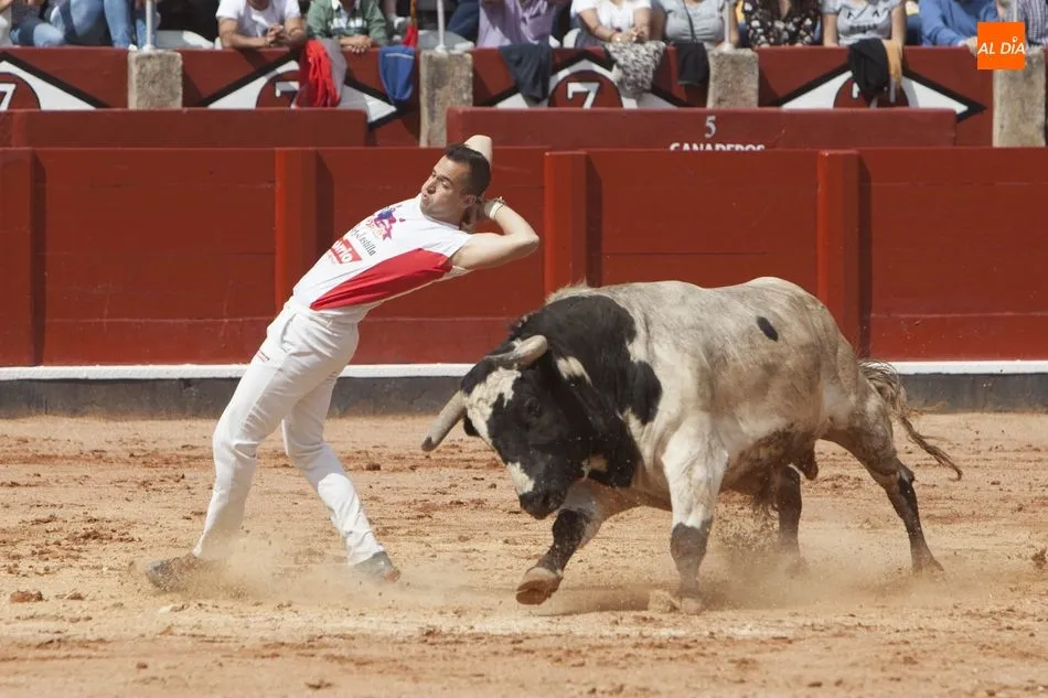 Foto 2 - Triunfo de Arturo Tapia y Luisan Mart&iacute;n en el concurso de recortes &lsquo;Ciudad de Salamanca&rsquo;