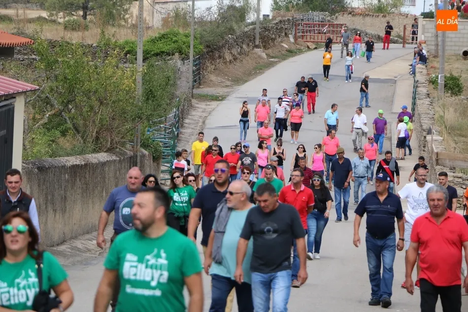 Foto 4 - Supers&oacute;nico encierro de los Hermanos S&aacute;nchez Gil para despedir las fiestas en Barruecopardo