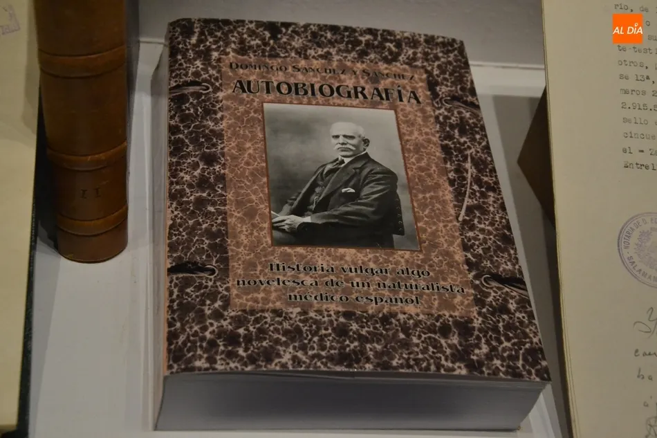 Foto 5 - Una carraca y una partitura, entre las nuevas piezas de la exposici&oacute;n &lsquo;7.000 historias y m&aacute;s&rsquo; ...