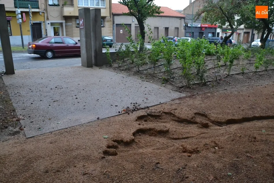Foto 9 - La granizada causa estragos en las instalaciones deportivas y en el &lsquo;nuevo&rsquo; Parque de La...