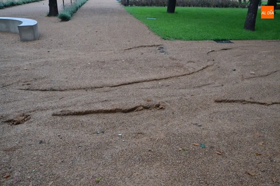 Foto 5 - La granizada causa estragos en las instalaciones deportivas y en el &lsquo;nuevo&rsquo; Parque de La...