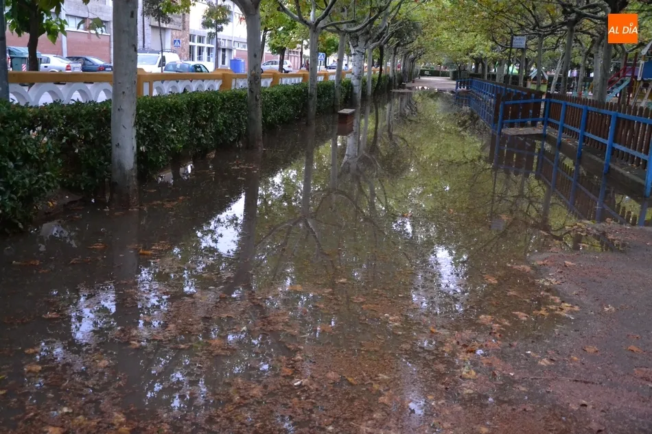 Foto 2 - La granizada causa estragos en las instalaciones deportivas y en el &lsquo;nuevo&rsquo; Parque de La...