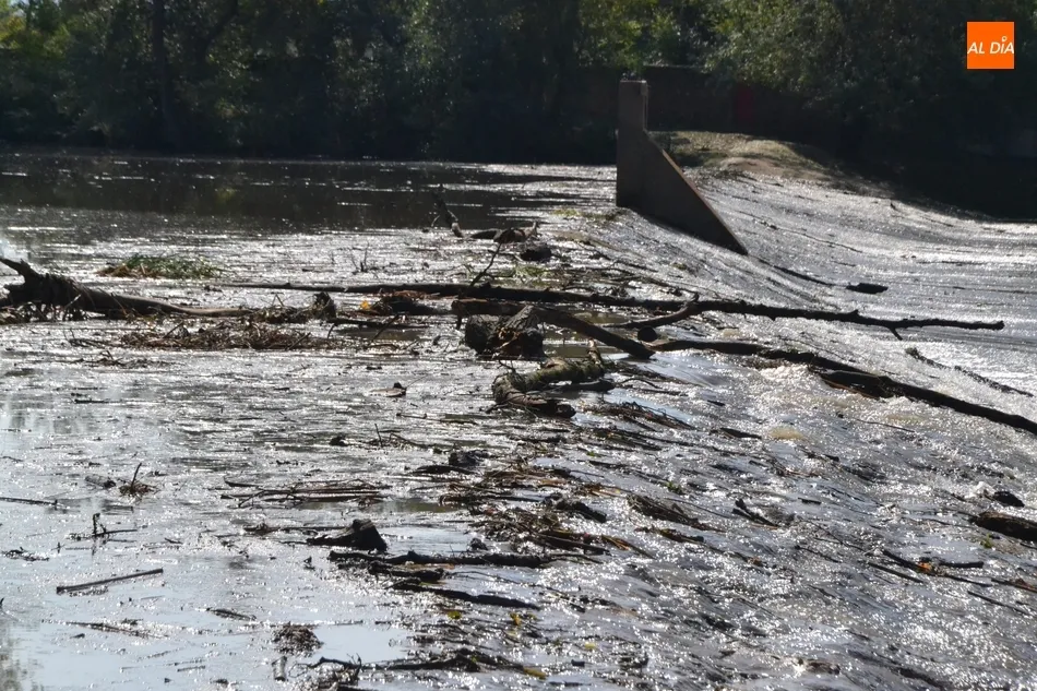 La tormenta deja en el río árboles caídos y el agua de color chocolate y repleta de arrastres  