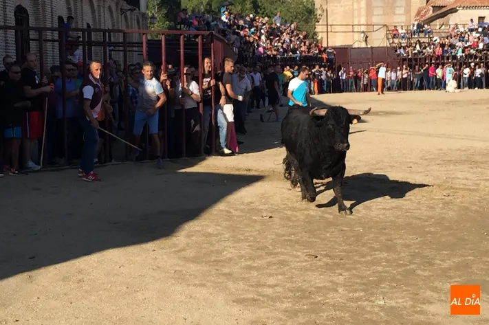 Foto 6 - Multitudinario encierro a caballo en Madrigal para despedir las fiestas en honor al Santo Cristo de ...