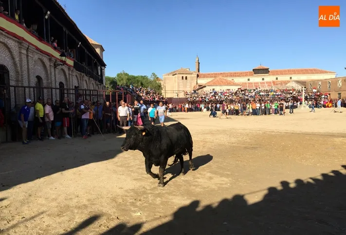 Foto 5 - Multitudinario encierro a caballo en Madrigal para despedir las fiestas en honor al Santo Cristo de ...