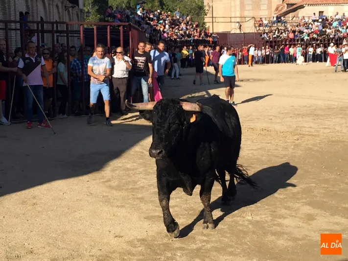 Foto 3 - Multitudinario encierro a caballo en Madrigal para despedir las fiestas en honor al Santo Cristo de ...