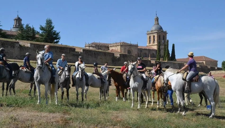 Los caballistas deberán avisar al servicio de limpieza cuando sus equinos depositen excrementos  