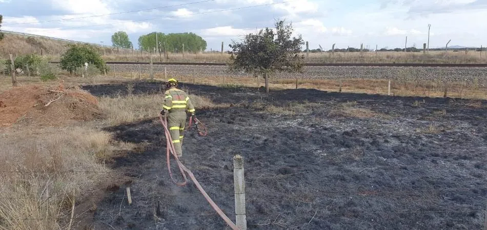 Foto 3 - El tren provoca un incendio a la altura de Mu&ntilde;oz  