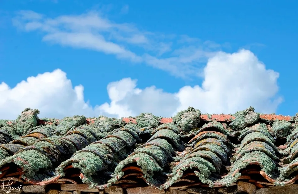 La resiliencia de las cosas