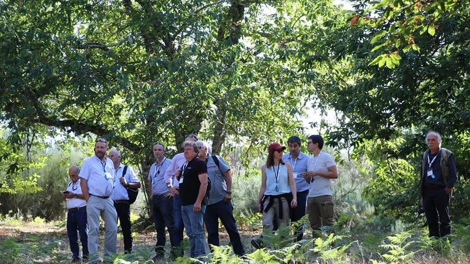 Foto 4 - La Red Estatal del Casta&ntilde;o analiza los retos del sector en un encuentro europeo celebrado en...