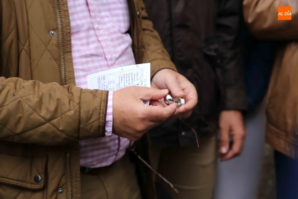 Sorteo de los toros que serán lidiados esta tarde. Foto: Miguel Hernández