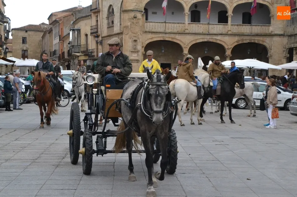 Foto 11 - Ol&eacute;-Ol&eacute; retorna a la Feria en una novedosa franja dentro de una ma&ntilde;ana con varias rutas a...
