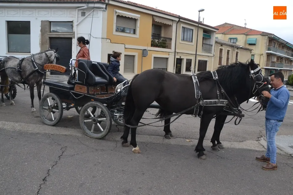 Foto 8 - Ol&eacute;-Ol&eacute; retorna a la Feria en una novedosa franja dentro de una ma&ntilde;ana con varias rutas a...