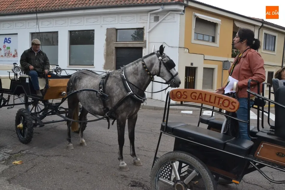 Foto 9 - Ol&eacute;-Ol&eacute; retorna a la Feria en una novedosa franja dentro de una ma&ntilde;ana con varias rutas a...