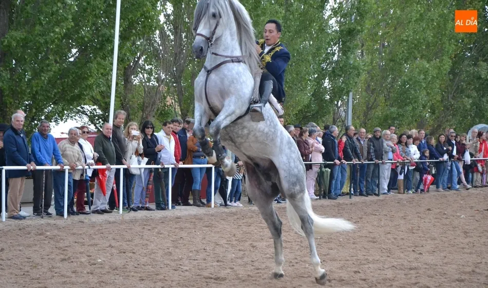 La lluvia no frena ni los espectáculos ni el seguimiento de la Feria del Caballo  