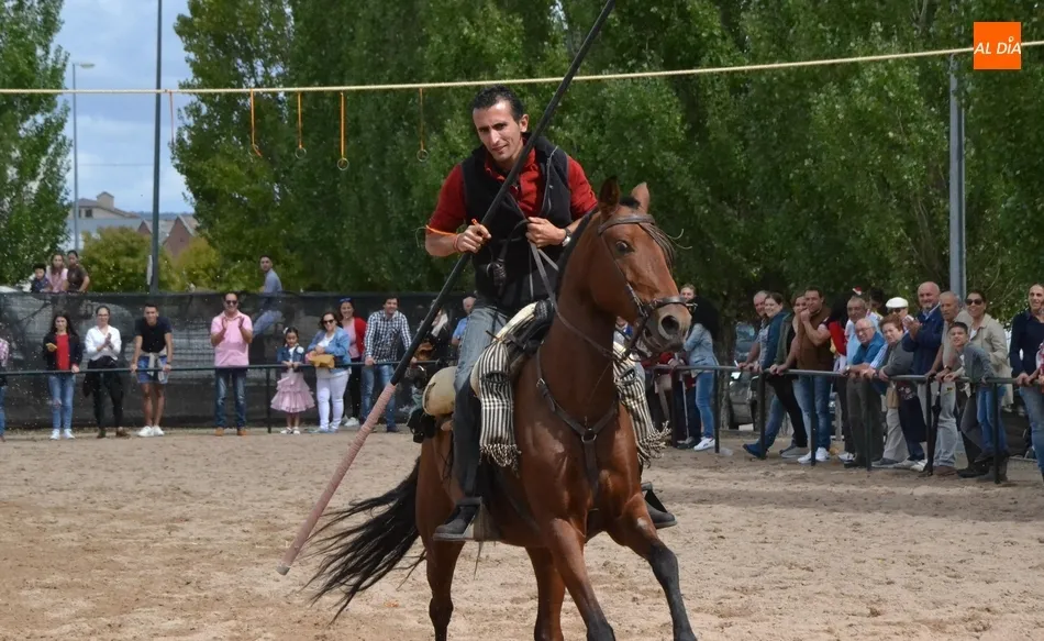 Campeón del Concurso de Anillas