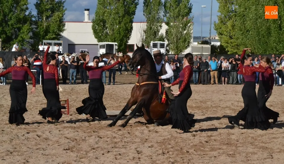 Miróbriga despide el verano 2019 apurando con mucho ritmo la Feria del Caballo