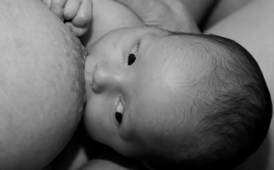 Convocada una reunión para crear una asociación dedicada a la crianza y educación de niños  