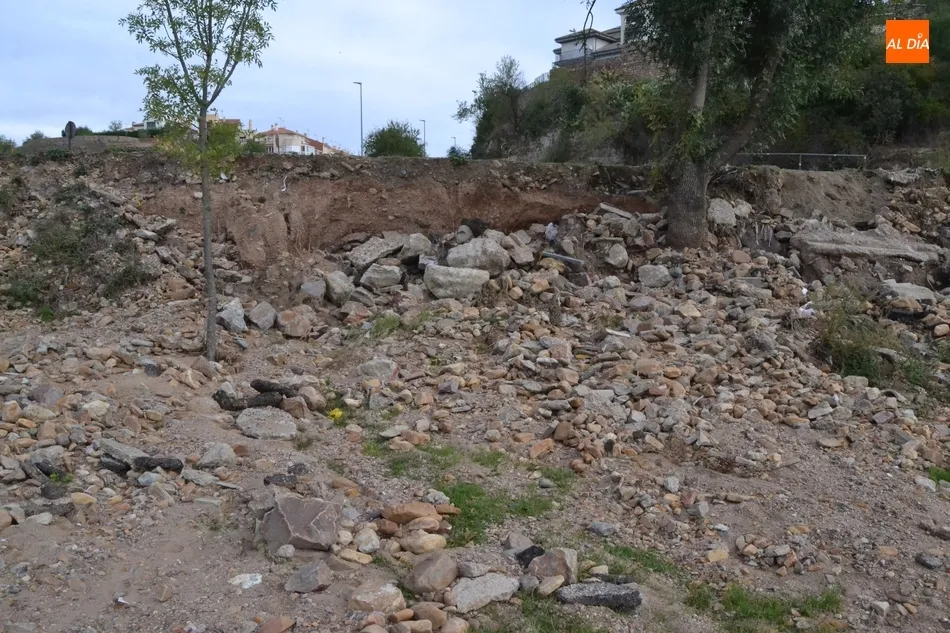 Foto 3 - D&iacute;a de retirada de los arrastres que dej&oacute; en La Pesquera la gran tormenta de la semana pasada  