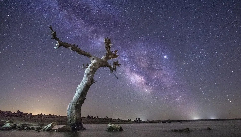 El vigilante, de Marian Rodríguez