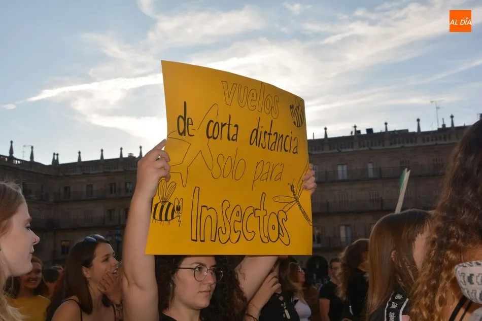 Foto 6 - Salamanca se echa a la calle por la&nbsp;manifestaci&oacute;n f&uacute;nebre a la Huelga Mundial por el Clima&nbsp;