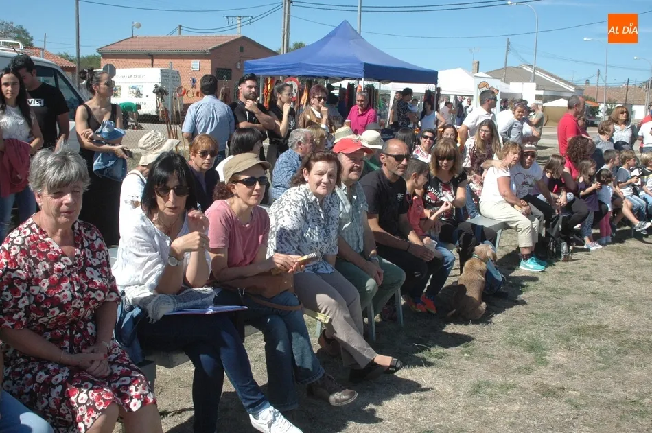 Foto 11 - La Feria de Artesan&iacute;a y Alimentaci&oacute;n, y la Feria Canina de Villar de Peralonso cumplen las...